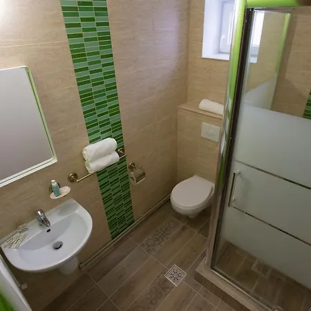 Guest house Pensiunea Trip