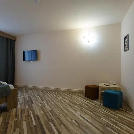 Guest house Pensiunea Trip 3*