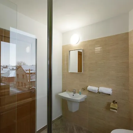 Pensiunea Trip 3*
