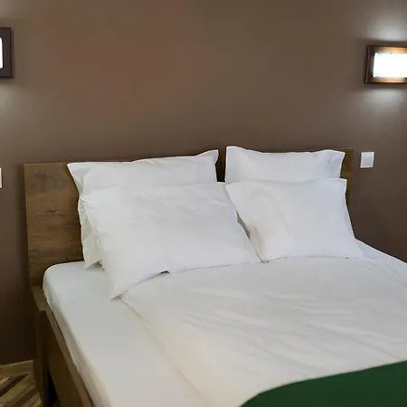 Pensiunea Trip 3*