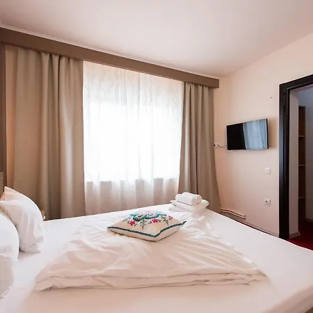Pensiunea Trip 3*