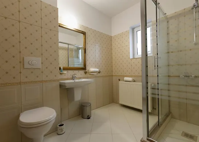 Pensión Pensiunea Trip 3*