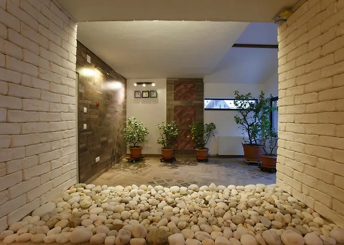 Pensiunea Trip Pensiune Brașov